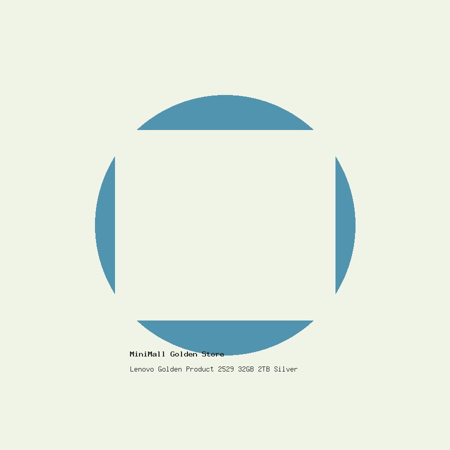 Lenovo Golden Product 2529 32GB 2TB Silver