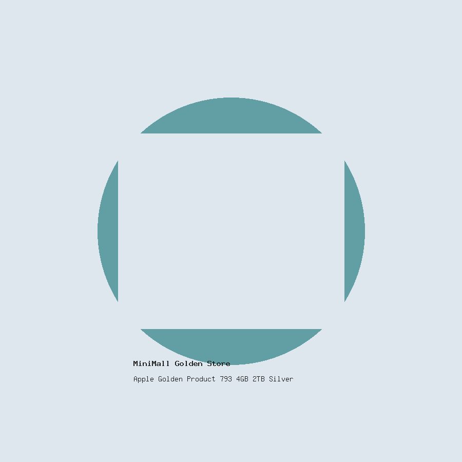 Apple Golden Product 793 4GB 2TB Silver